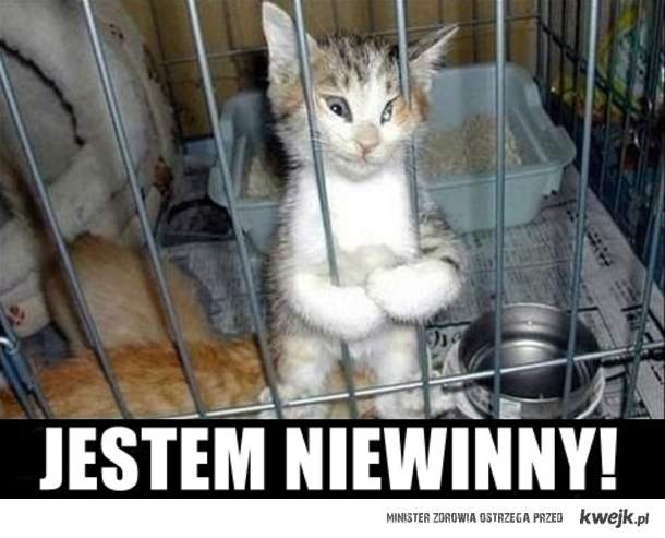 Я невиновен!
