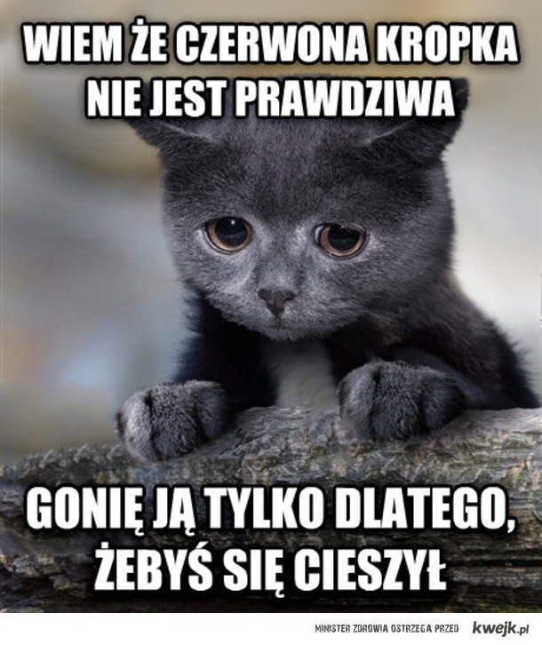 Грустный котёнок