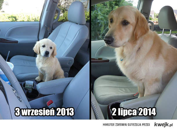 3 сентября 2013 - 2 июля 2014