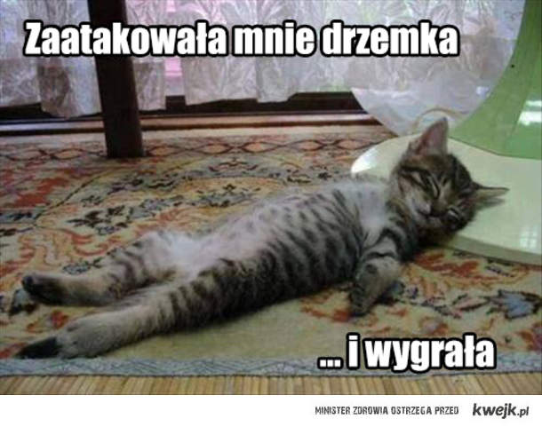 На меня напала дремота... и выиграла